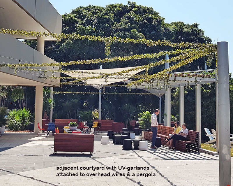Bay Laurel Garland- UV-treated