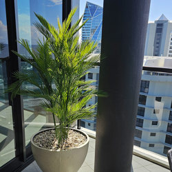 Parlour Palm UV 1.3m - artificial plants, flowers & trees - image 1