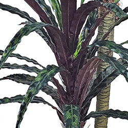 Yucca 'shiraz' Plant 1.6m double - artificial plants, flowers & trees - image 1
