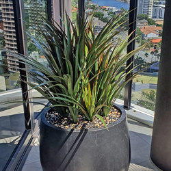 Yuccas- UV-stable...small - artificial plants, flowers & trees - image 1