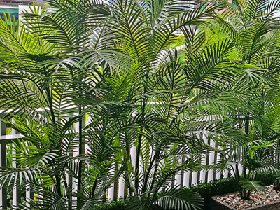 Green balcony privacy screen with UV-treated palms