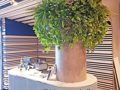 Football Clubhouse uses artificial greenery to set-off beautiful custom-built planters