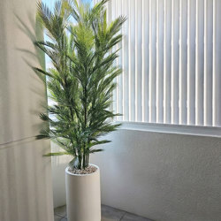 Parlour Palm UV 2.1m - artificial plants, flowers & trees - image 2