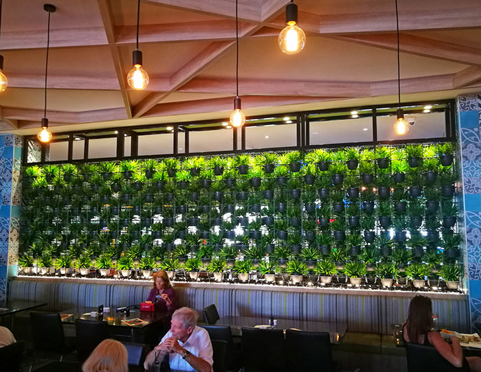 Green Plants in shelves as a room divider image 4