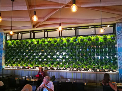 Green Plants in shelves as a room divider