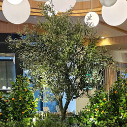 Giant Olive Tree- 2.7m tall - artificial plants, flowers & trees - image 4