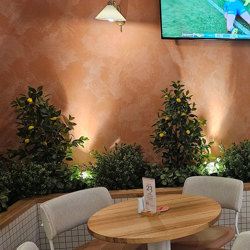 Fruit Tree- Lemon 1.2m - artificial plants, flowers & trees - image 2