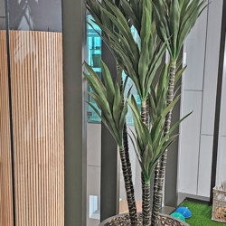 Yucca Tree- 1.8m with 3 heads - artificial plants, flowers & trees - image 3