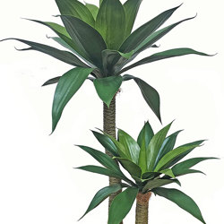 Agave Plant 1m with 2 heads UV - artificial plants, flowers & trees - image 5