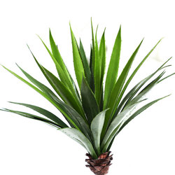 Agave- Spikey Agave Plant UV 1.3m with 4 heads  - artificial plants, flowers & trees - image 2