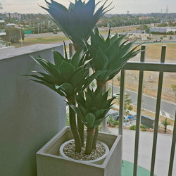 Agave Plant 1.3m with 4 heads UV - artificial plants, flowers & trees - image 4