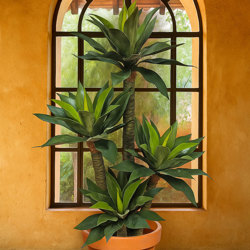 Agave Plant 1.3m with 4 heads - artificial plants, flowers & trees - image 4