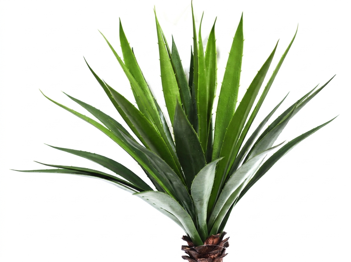 Agave- Spikey Agave Plant UV 1.3m with 4 heads 