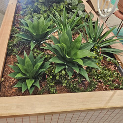 Agave UV- med [unpotted] - artificial plants, flowers & trees - image 1