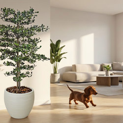 Black Olive Tree 1.5m UV-rated - artificial plants, flowers & trees - image 2