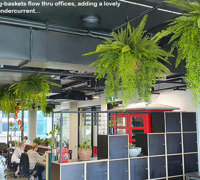 Modern Office...trending green