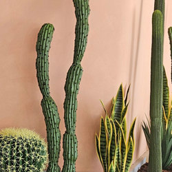 Cactii- Baja Cactus double-trunk 1.4m - artificial plants, flowers & trees - image 4