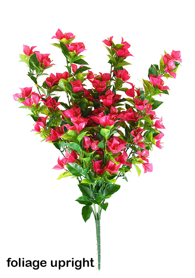 Bouganvillea trailing Plant UV 