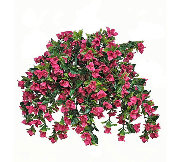Wall-Baskets Bougainvillea UV- med