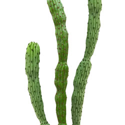 Cactii- Baja Cactus 1.9m triple-stem    - artificial plants, flowers & trees - image 5