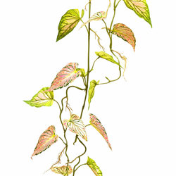 Trailing Vine- 1.2m Caladium 'pink symphony' - artificial plants, flowers & trees - image 2