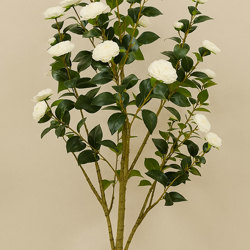 Camellia 1.7m white  - artificial plants, flowers & trees - image 2