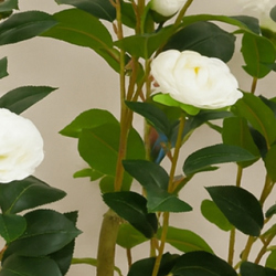 Camellia 1.7m white  - artificial plants, flowers & trees - image 1