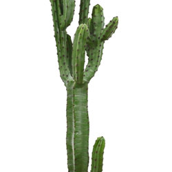 Cactii- Candelabra Cactus 1.65m  - artificial plants, flowers & trees - image 2