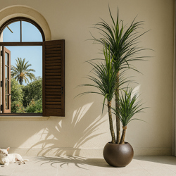Ponytail Yucca 1.75m double stem-stem  - artificial plants, flowers & trees - image 3