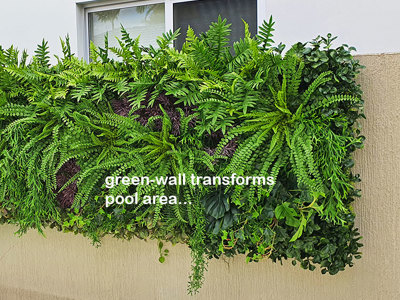 Domestic Pool Area improved by soft Green-Wall