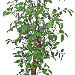 Mini-Ficus 'benji' 1.3m - artificial plants, flowers & trees - image 2