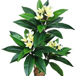 Franjipani- yellow/white flowers 90cm - artificial plants, flowers & trees - image 3