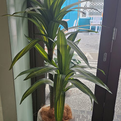 Happy Plant 1.5m double - artificial plants, flowers & trees - image 1