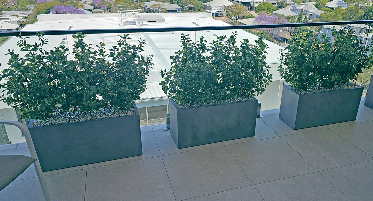 Trough Planters- with Lucky Jade Plants UV 1m 