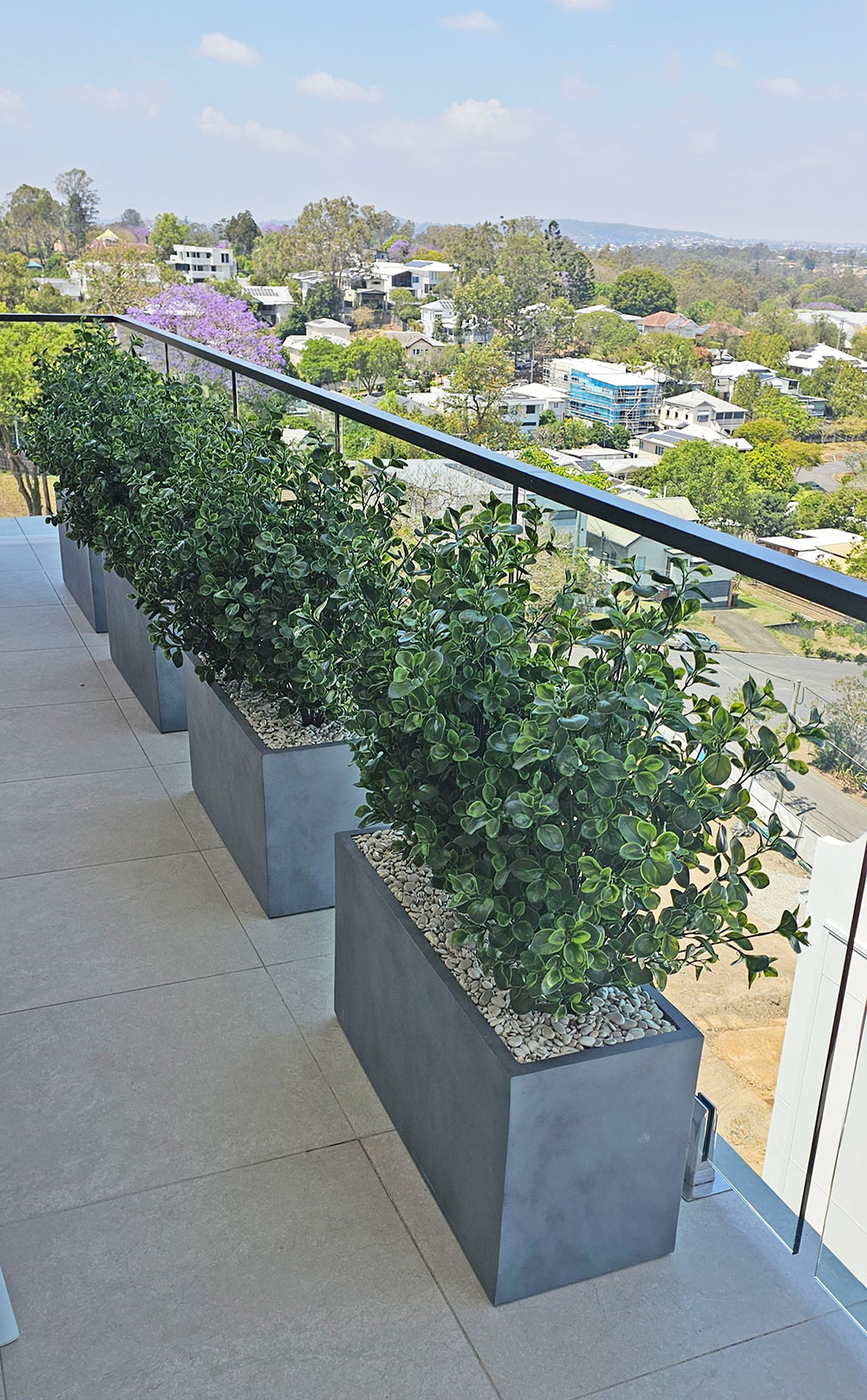 Trough Planters- with Lucky Jade Plants UV 1m 
