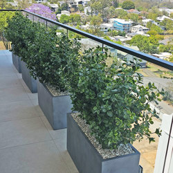 Trough Planters- with Lucky Jade Plants UV 1m  - artificial plants, flowers & trees - image 4