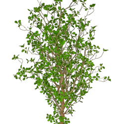 Lilly Pilly 1.7m  - artificial plants, flowers & trees - image 2