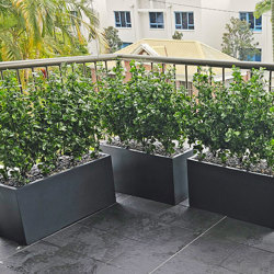 Trough Planters- with Lucky Jade Plants UV 1m  - artificial plants, flowers & trees - image 3