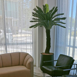 Cycad Palm 2m - artificial plants, flowers & trees - image 5