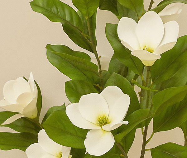 Mini-Magnolia 1.3m white-green