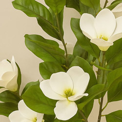 Mini-Magnolia 1.3m white-green - artificial plants, flowers & trees - image 1