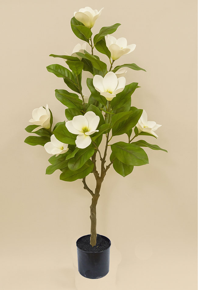 Mini-Magnolia 1.3m white-green