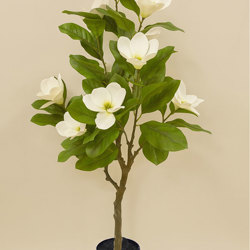 Mini-Magnolia 1.3m white-green - artificial plants, flowers & trees - image 2