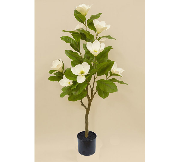 Mini-Magnolia 1.3m white-green