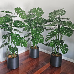 Monstera 'giant leaf' 1.4m - artificial plants, flowers & trees - image 5