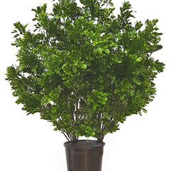UV-Bush Murraya 85cm dbl-planted - artificial plants, flowers & trees - image 4