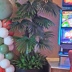 Fan Palm 2.4m [lge foliage] - artificial plants, flowers & trees - image 2