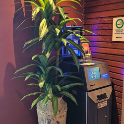 Happy Plant 1.9m quadruple-head - artificial plants, flowers & trees - image 4