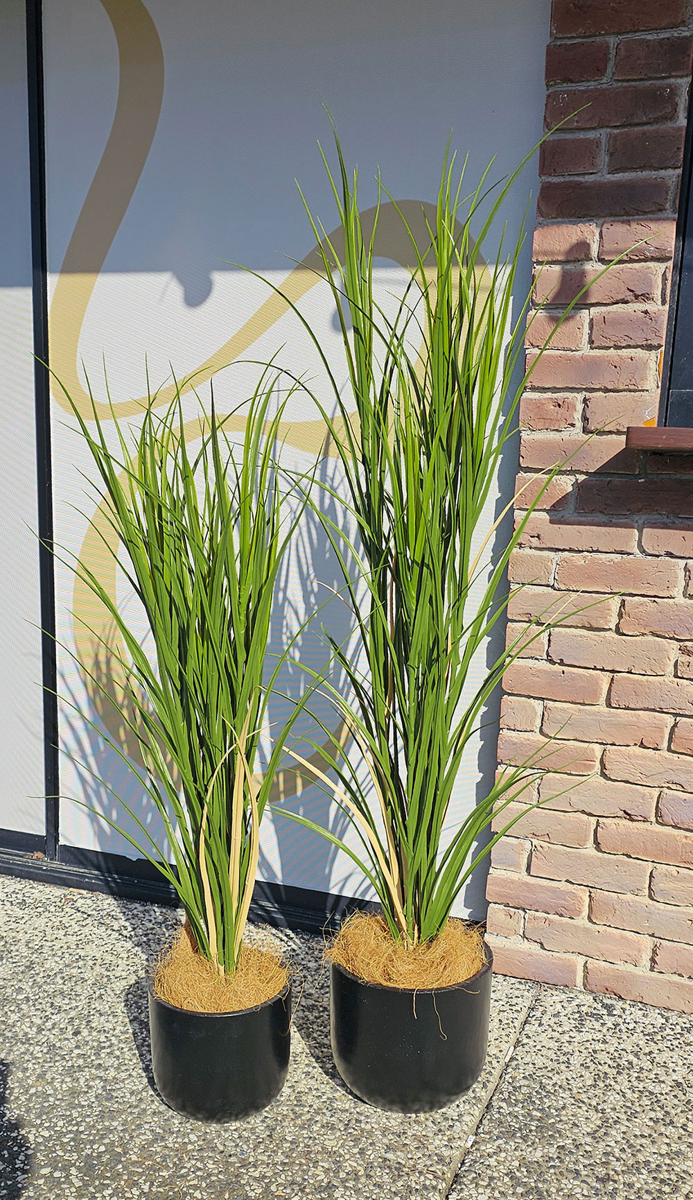 Pampas Grass UV 1.2m