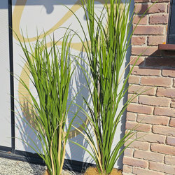 Pampas Grass UV 1.2m - artificial plants, flowers & trees - image 1